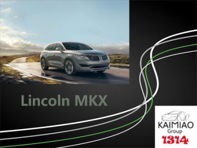 Cina I punti laterali elettrici di Lincoln MKX, veicolo elettrico fa un passo pratico e durevole alla moda in vendita