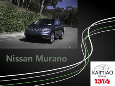 Cina Punti laterali elettrici di modo, piattaforme benvenute di punto di potere del pedale per Nissan Murano in vendita