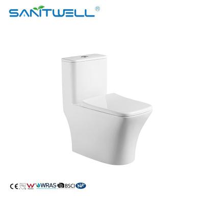 China pequeño mini retrete de cerámica del wc de 2021 nuevas mercancías sanitarias del diseño para el cuarto de baño estrecho SWM8621 en venta