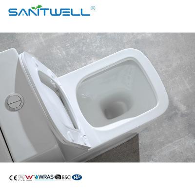 China Retrete popular de la trampa de los estilos S de Chaozhou retrete SWM9000 del cuarto de baño de 1 pedazo en venta