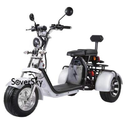 China Aluminum Alloy Soversky Electric Bike 3 Wheel Citycoco Scooter Moped 2000Watt Mobility With Seat 40Ah Batteries Long Range for sale