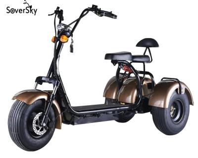 China Aluminum Alloy Soversky 2 Wheel Electric Scooter 1500w/2000w EEC Certificate for sale