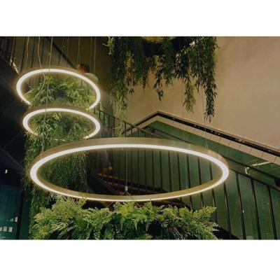 中国 Modern Led Chandeliers Round Ring Lights For Living Room Kitchen Black Pendant Lamps 販売のため