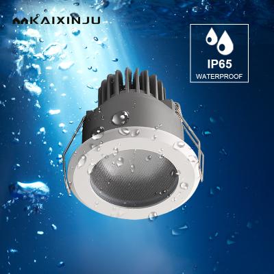 China Dimmable Adjustable Spotlight with Modern Design Style CRI Ra 95 8W Waterproof IP65 Recessed Ceiling COB Led Spotlight for sale