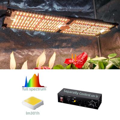 China External Rj14 Controller Optional Customize 240w LED Grow Light Board Full Spectrum UV IR for Indoor Plants Separate Control for sale