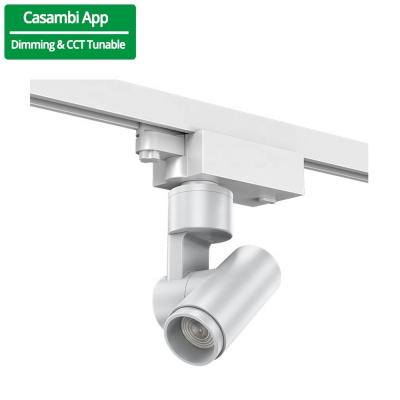 Cina AC100-240V Input Voltage Motorised LED Track Light 20W 25W 30W with Casambi App Smart Motor Tracking in vendita