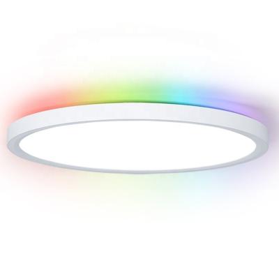 China Tuya WiFi Voice Control 300mm 24W LED Ceiling Light for Modern Design PC Body White Shade Bedroom Living Room App PL Warehouse à venda