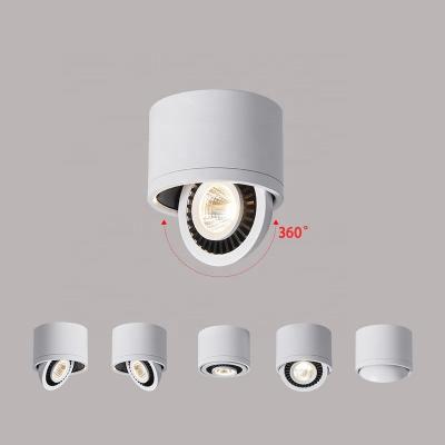 China 50000 Hours Lifespan Modern Round Spot Trimless Ceiling Lamp for Indoor Living Room and School Wall LED Mounted Spotlight for sale