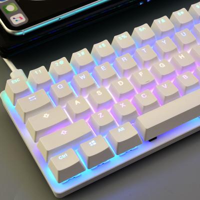 China MR Wireless 2021 New Launch 60% RGB Gaming Mechanical Keyboard PBT Suspended Keycap OEM ODM Factory Price for sale