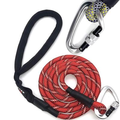 China Custom Wholesale High Quality Tactical Nylon Carabiner Dog Slip Lead Dog Leash for sale