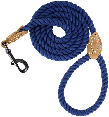 China Eco-Friendly Braided Nylon Padded Rope Dog Leash Handmade for sale