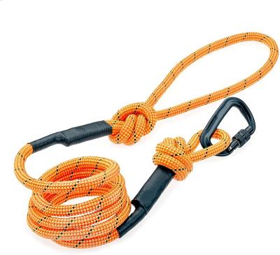 China Wholesale Comfortable Padded Padded Handle Swivel Carabiner For Dog Leash for sale