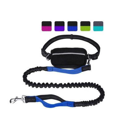 China Manufacturer Wholesale Padded Adjustable Nylon Dog Leash For Running for sale