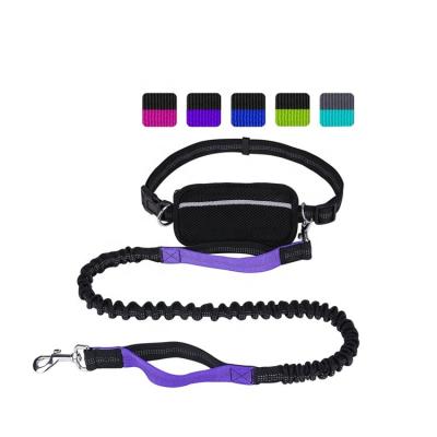 China Factory Fashion Design Professional Hand Padded Dog Free Leash For Running for sale