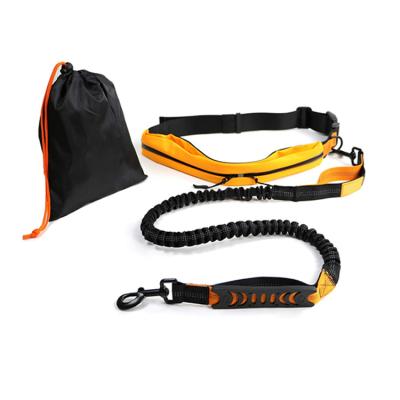 China Wholesale Hot Selling Reflective Padded Nylon Belt Walking Hands Free Running Dog Leash With Poop Bag for sale