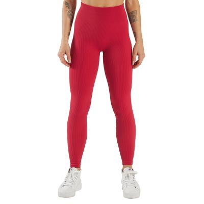 China Breathable Red Seamless Custom Design Buttlift Youth High Waist Yoga Pants Gaiters For Women Shine for sale