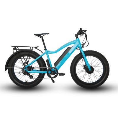 China New 48V250W+350W FAT-AWD 24 Standard BTN 2021 Drop Shipping All Wheel E Drive Bike Fat Tire Electric Bike for sale