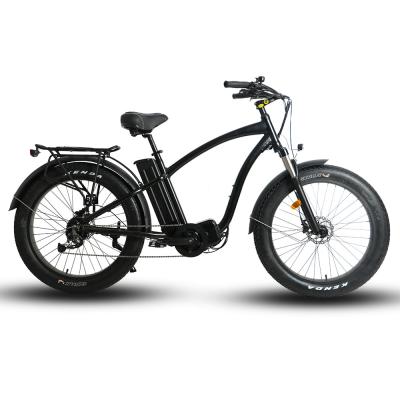 China Fat Tire 1000w High Power Fat Tire 1000w Wholesale Ebike Model BTN Copmpany Standard Affordable Electric Cruiser Range for sale