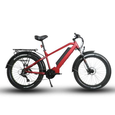 China BTN 48V 1000W FAT-HD Standard Drop Shipping Electric Hunting/Fishing For Cycling All Terrain Fat Tire Electric Mountain Bike for sale