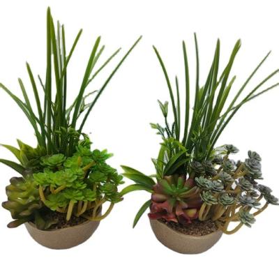 China Wholesale Fashion Home Decoration Plastic Artificial Plants With Ceramic Flower Pot Set for sale