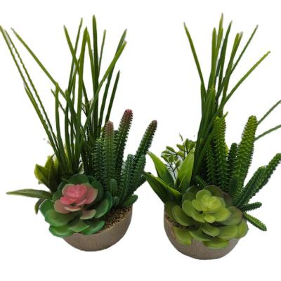 China Art Deco Factory New Arrival Desktop Decor Plastic Artificial Plants With Ceramic Flower Pot Set for sale