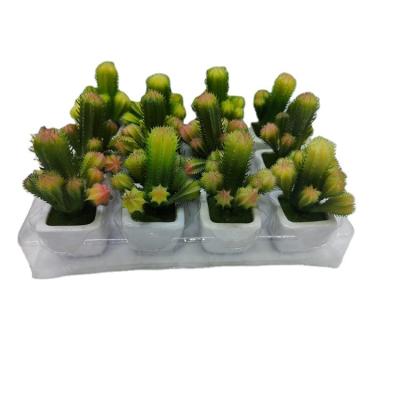 China Newest Selling Fashion Desktop Decoration Artificial Cactus Outdoor Plant Ceramic Flower Pot Set for sale