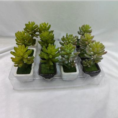 China Fashion Best Selling Desktop Decorate 3 Heads Plastic Artificial Succulents With Ceramic Flower Pot Set for sale