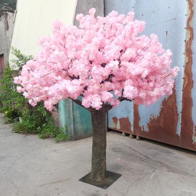 China Eco-friendly Faux Sakura Tree Artificial Silk Cherry Blossom Tree For Cafe And Bar Decoration for sale