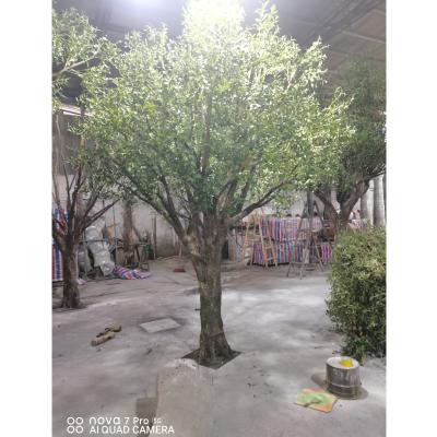 China Eco - Friendly Simulation Olive Tree Artificial Plant Olive Tree Artificial Olive Tree for sale