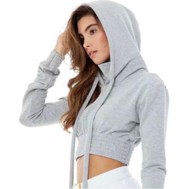 China wholesale Anti-wrinkle women long sleeve plain crop top hoodies for sale