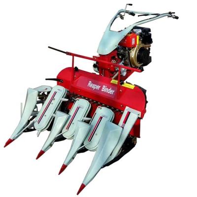 China Rice Wheat Sale Factory Price Compulsory Hot Harvester Cutting And Binding For Example For Rice And Wheat for sale