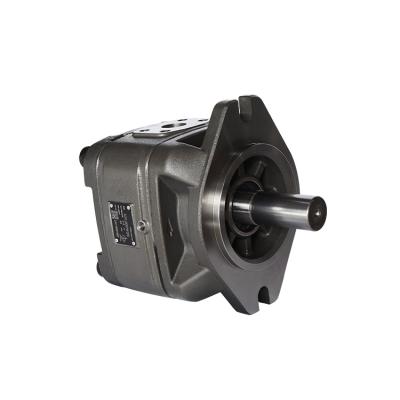 China 2021 New Design IGP2 Series Low Noise Internal Gear Pump From Forklift Manufacturer for sale