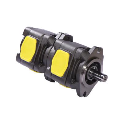 China Chinese Forklift Manufacturer Customized IGP22 Series Double Displacement Fixed Internal Gear Pump for sale