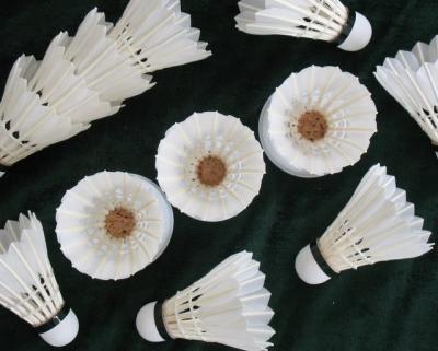 China DAYI-bisai grade badminton feather shuttlecocks for sale