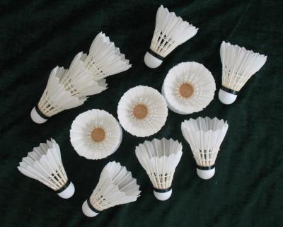 China Sale badminton shuttlecock - badminton shuttlecock for sale for sale