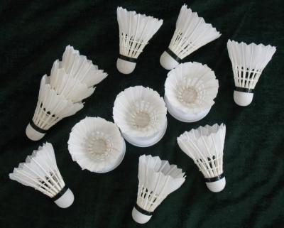 China badminton factory supply shuttlecocks of DAYI-gongyu grade badminton shuttlecocks for sale