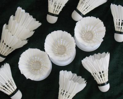 China DAYI-gongyu grade badminton feather shuttlecocks for sale