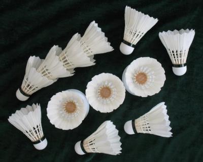 China badminton manufacturer supplies DAYI-shiyong grade shuttlecock feather badminton for sale