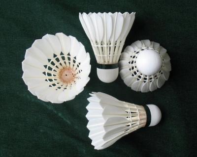 China Competition Goose Feather Badminton Shuttlecock for sale