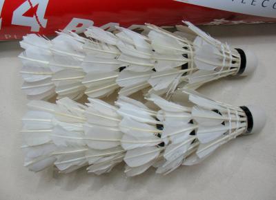 China The lowest price feather shuttlecock 1.59USD/Dozen EXW price for sale