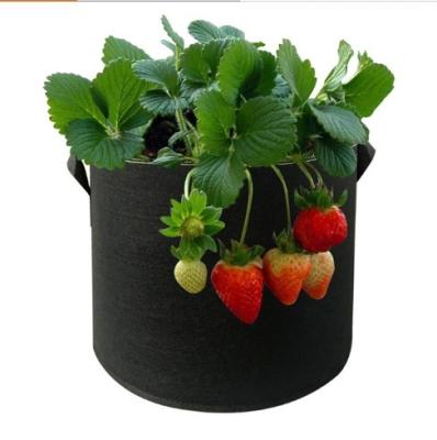 China Cheap Growing Plants Growing 1-400 Gallon Vegetable Grow Price Cloth Potted Plant Bag Tree Growing Outdoor Planting Bag for sale