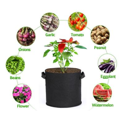 China 2022 Plant Growth Cheap Price Outdoor Garden Customized All Polyester Plant Recycled Fabric Non Woven Pots Per Gallon Grow Bags With Handle for sale