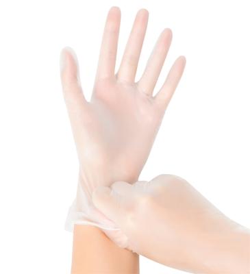 China Maida Comfortable Disposable Vinyl Gloves Latex Food Grade Vinyl Non Working PVC Gloves for sale