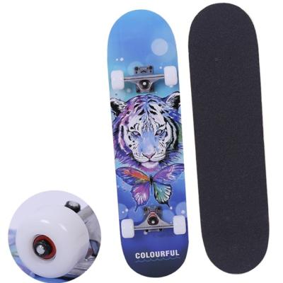 China Youth Fast Delivery Low MOQ High Speed ​​Canadian Maple Skateboards Tape Skateboard Grip With PU Wheels for sale