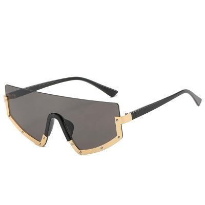 China Hot Selling Customizable Trendy Fashion Sunglasses Trendy Hardware Polarized TR90 Sunglasses for sale