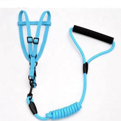 China Viable Wholesale Multicolor Dog Harness and Leash Nylon Set with Small Black Hooks Cats and Dogs Harness Set for sale