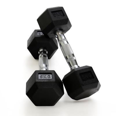 China WellTrust Good Quality Hex Dumbbell Free Weight Durable/Smell Free/Dumbbel Free Purchase High Quality Rubber Dumbbells Cheap Fitness for sale