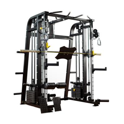 China WellTrust Safe/Strong/Durable Gym Equipment All In One Professional Blacksmith Machine Gym Blacksmith Machine for sale