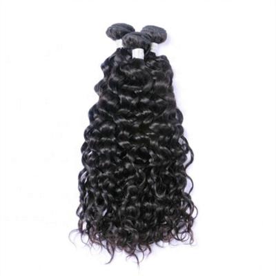 China Super Double Color Water Wave Women's Hair Natural Brazilian Unprocessed Straight Hair Bundles for sale