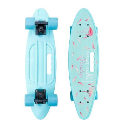 China High Quality Custom Kid Logo 23inch Fish Complete Skateboards With Handle for sale